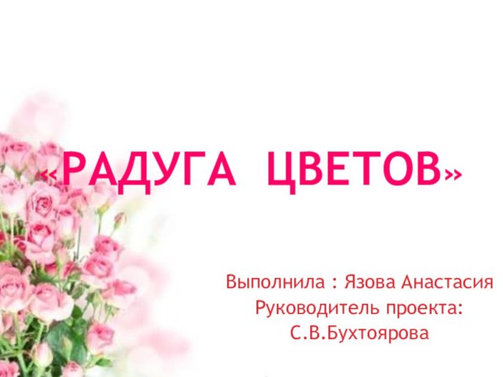 «РАДУГА ЦВЕТОВ»Выполнила : Язова Анастасия Руководитель проекта:С.В.Бухтоярова