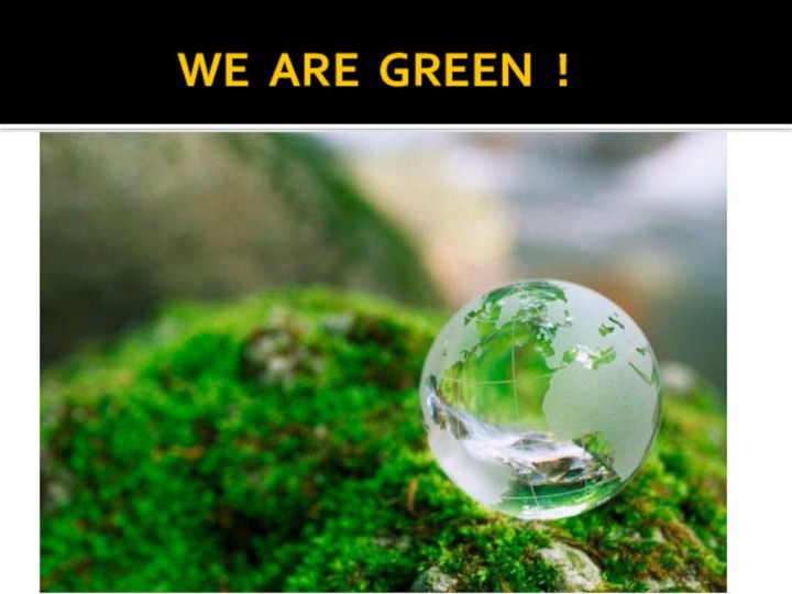 WE ARE GREEN !