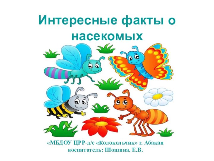 Интересные факты о насекомых«МБДОУ ЦРР-д/с «Колокольчик» г. Абакан воспитатель: Шошина. Е.В.