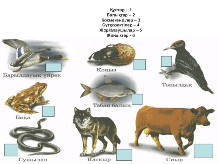 Құстар – 1 Балықтар – 2 Қосмекенділер – 3 Сүтқоректілер – 4