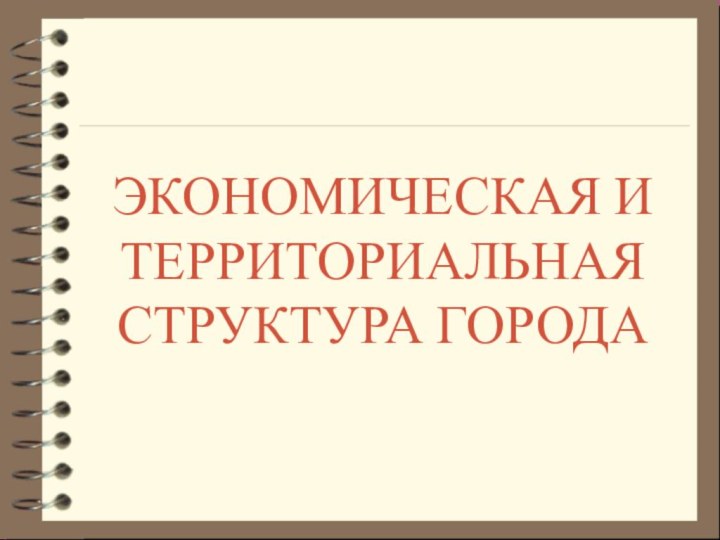 Экономическая и территориальная структура города