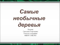 Презентация по географии: Самые необычные деревья