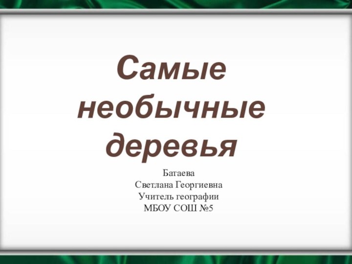 Cамые необычные деревьяБатаева Светлана ГеоргиевнаУчитель географии МБОУ СОШ №5