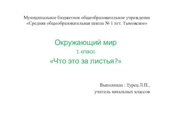 Презентация к уроку окружающего мира по теме  Природа и мы  1 класс