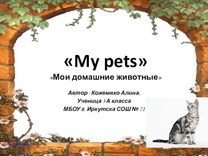 «My pets» «Мои домашние животные»Автор : Кожемяко Алина, Ученица 3 А классаМБОУ