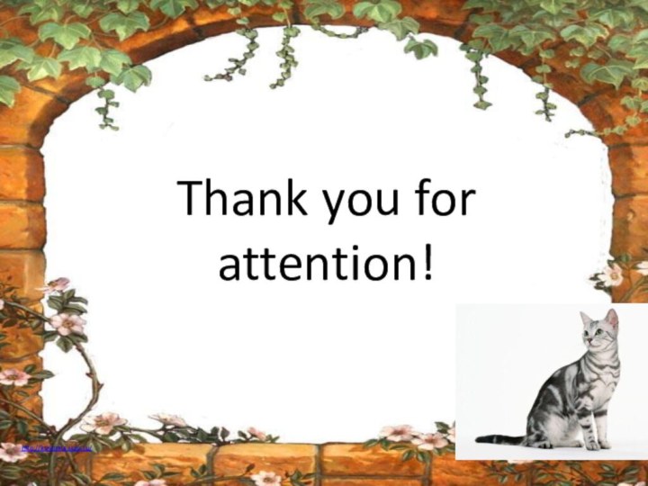 Thank you for attention!