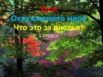 Что это за листья? 1 класс.