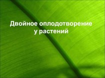 Двойное оплодотворение у растений