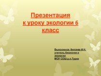 Презентация по экологии на тему  Экологические группы растений по отношению к свету