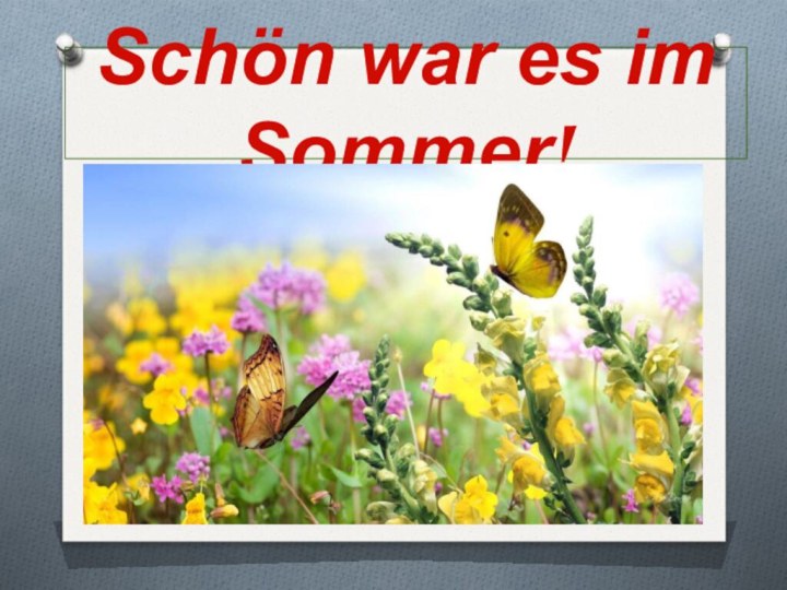 Schön war es im Sommer!