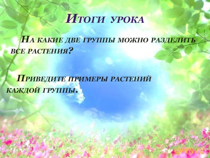 Итоги урока	На какие две группы можно разделить все растения?	Приведите примеры растений каждой группы.