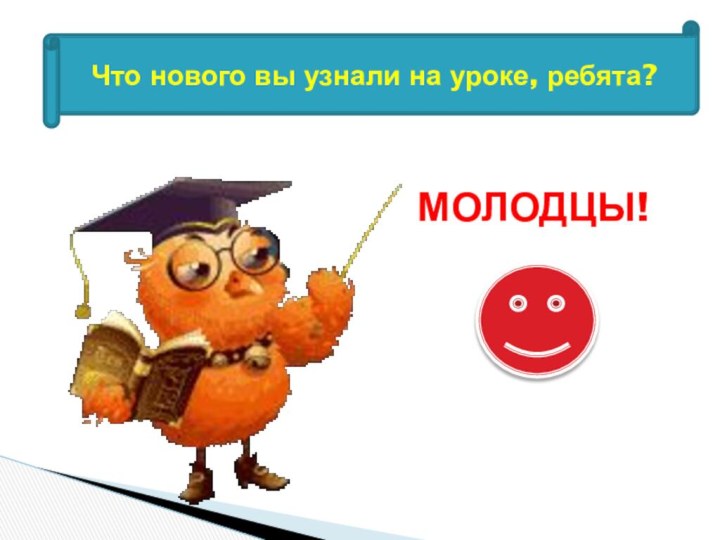 Что нового вы узнали на уроке, ребята?МОЛОДЦЫ!