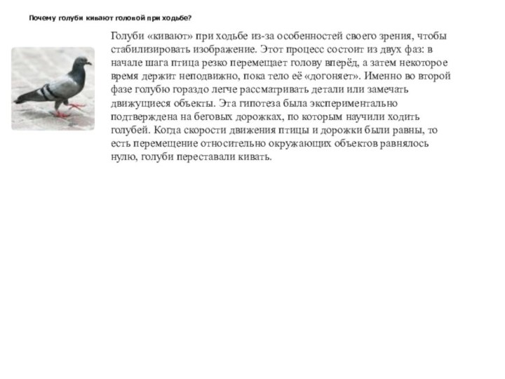 Почему голуби кивают головой при ходьбе?Голуби «кивают» при ходьбе из-за особенностей своего