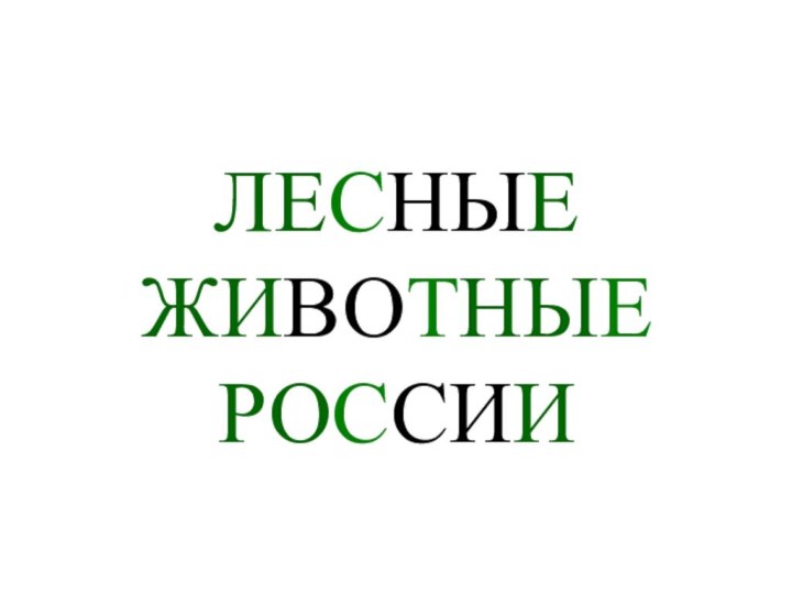 ЛЕСНЫЕ ЖИВОТНЫЕ РОССИИ