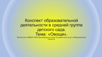 Конспект занятия в средней группе Овощи