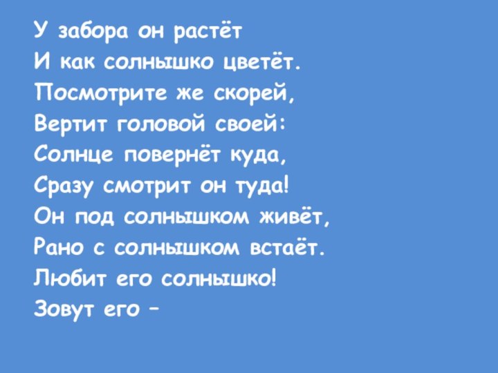 У забора он растётИ как солнышко цветёт.Посмотрите же скорей,Вертит головой своей:Солнце повернёт