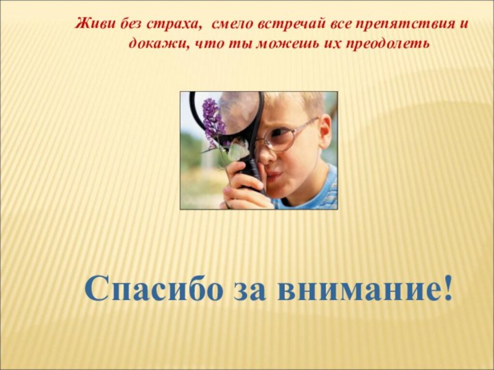 Спасибо за внимание! Живи без страха, смело встречай все препятствия и докажи,