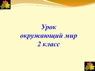 Презентация по окружающему миру (2 класс)