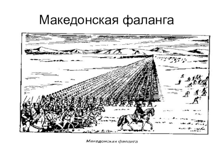 Македонская фаланга