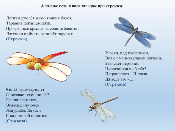 У реки, над камышами, Вот с та-а-а-акущими глазами, Зависает вертолёт. Пассажиров не