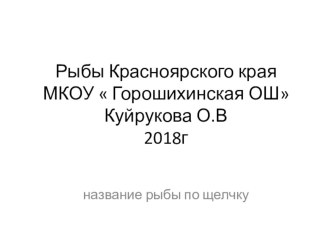 Презентация по курсу Природа и экология Красноярского края Рыбы Красноярского края