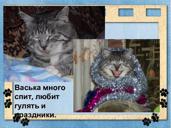 Васька много спит, любит гулять и праздники.