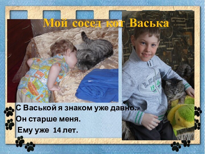 С Васькой я знаком уже давно.Он старше меня. Ему уже 14 лет.Мой сосед кот Васька