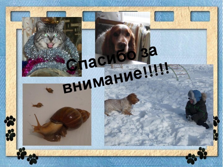 Спасибо за внимание!!!!!