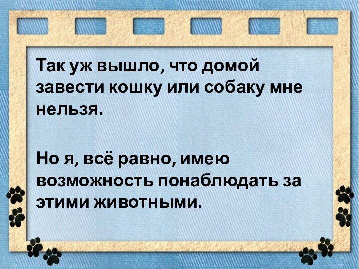 Так уж вышло, что домой завести кошку или собаку мне нельзя.Но я,