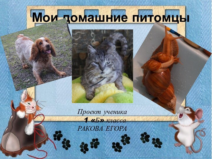 Мои домашние питомцы Проект ученика 1 «Б» классаРАКОВА ЕГОРА