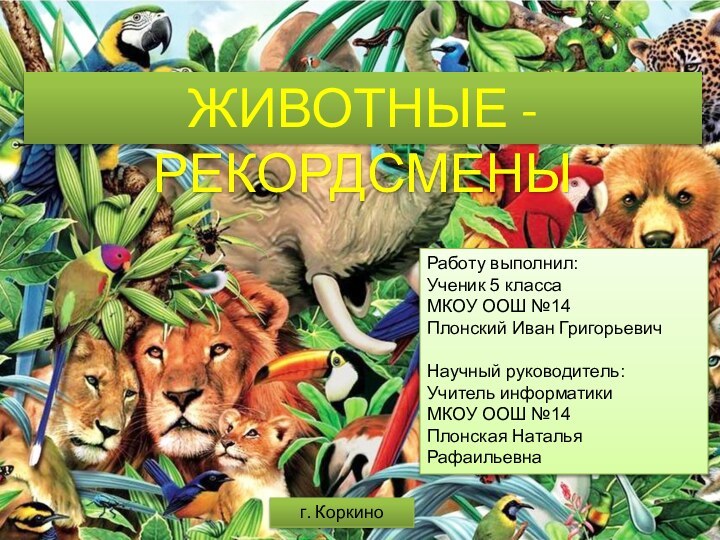 ЖИВОТНЫЕ - РЕКОРДСМЕНЫРаботу выполнил:Ученик 5 классаМКОУ ООШ №14 Плонский Иван ГригорьевичНаучный руководитель:Учитель