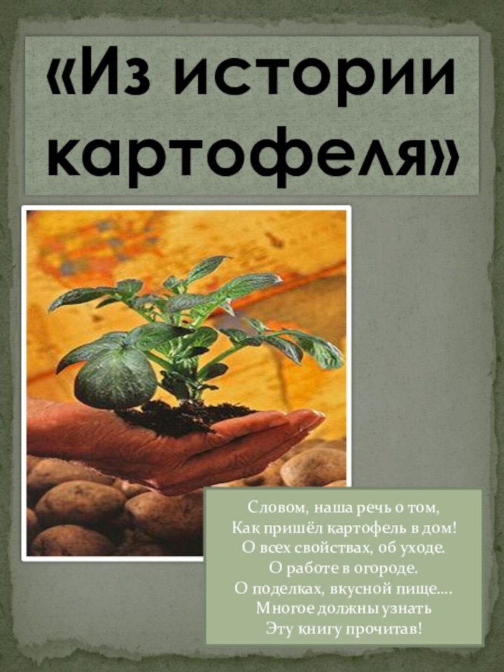 «Из истории картофеля»Словом, наша речь о том,Как пришёл картофель в дом!О всех