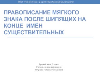 Правописание мягкого знака после шипящих на конце имён существительных