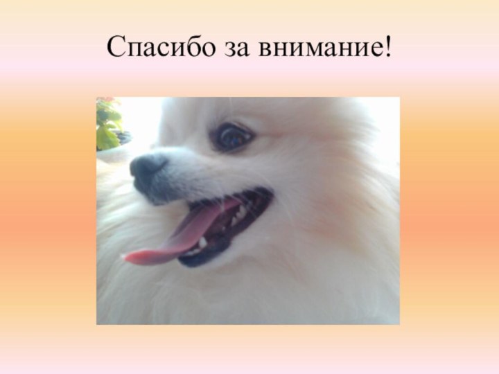 Спасибо за внимание!