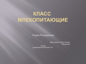 Презентация по биологии Отряд рукокрылые (7 класс)