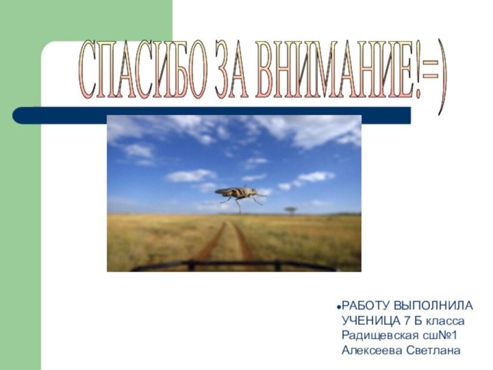 СПАСИБО ЗА ВНИМАНИЕ!=) РАБОТУ ВЫПОЛНИЛА УЧЕНИЦА 7 Б класса Радищевская сш№1 Алексеева Светлана