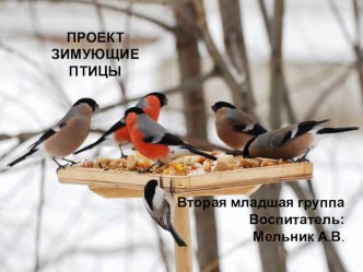 Презентация Зимующие птицы - мои друзья