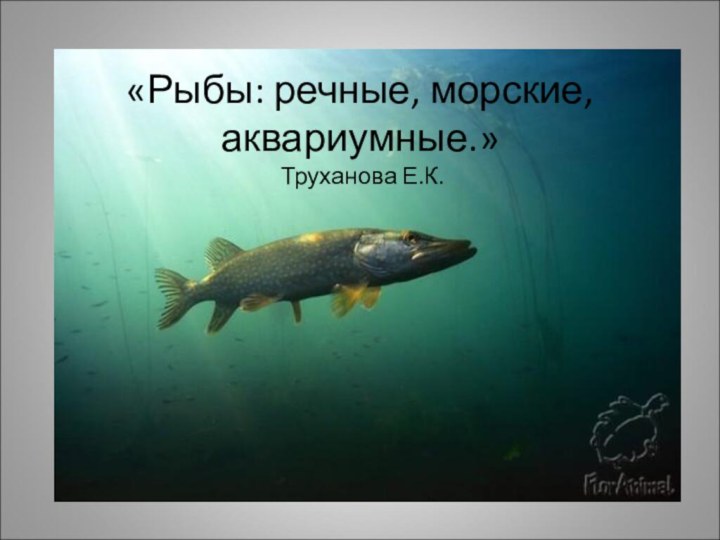 «Рыбы: речные, морские, аквариумные.»  Труханова Е.К.
