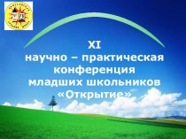 Конференция младших школьников Лето - это маленькая жизнь