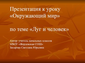 Презентация Луг и человек