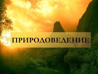 Презентація до уроку природознавства Что такое горные породы? Значение горных пород для человека. Практическая работа: ознакомление с коллекцией горных пород родного края