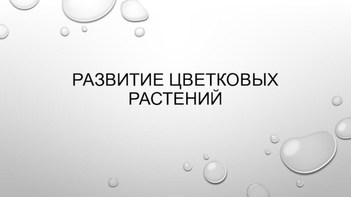 Развитие цветковых растений