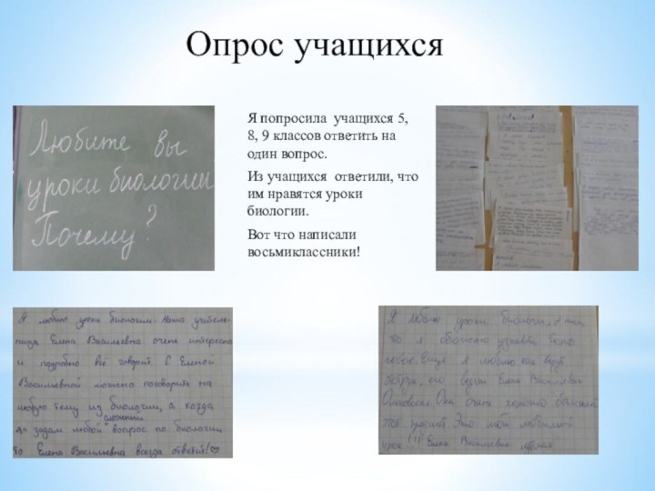 Я попросила учащихся 5, 8, 9 классов ответить на один вопрос.Из учащихся