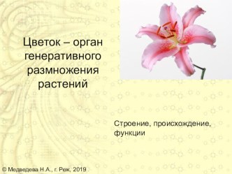 Презентация Цветок - орган генеративного размножения растений