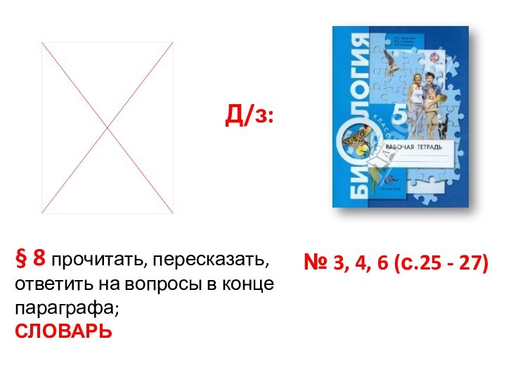 § 8 прочитать, пересказать, ответить на вопросы в конце параграфа; СЛОВАРЬ№