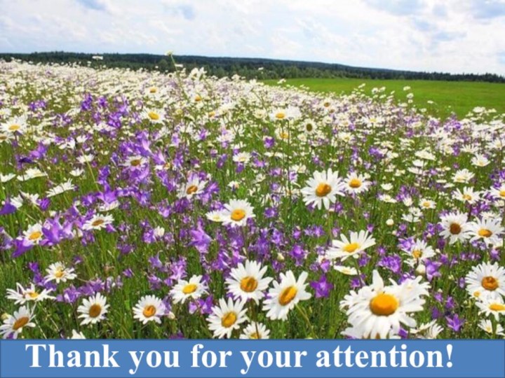 Thank you for your attention!