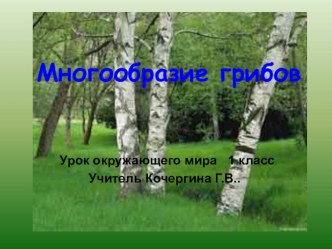 Презентация к уроку ООМ в 1 классе по теме Многообразие грибов. (Тайны грибного царства).