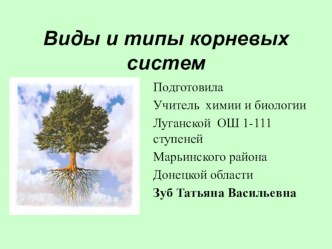 Презентация по биологии на тему Виды и типы корневых систем (6 класс)