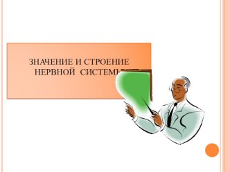 Презентация по анатомии Значение и строение нервной системы