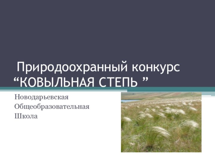 Природоохранный конкурс “КОВЫЛЬНАЯ СТЕПЬ	”НоводарьевскаяОбщеобразовательнаяШкола